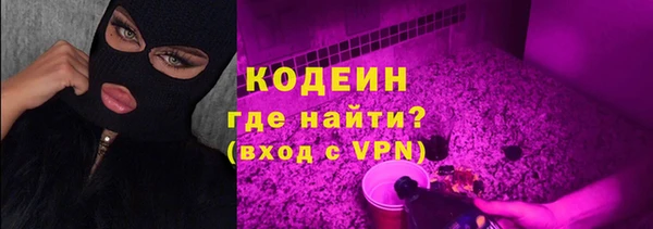 стаф Балахна