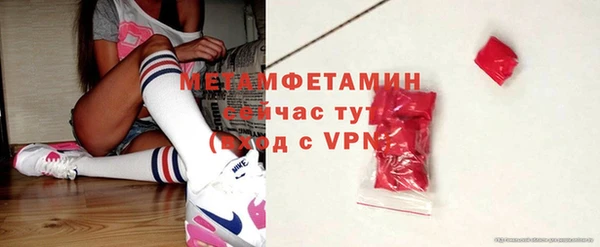 прущие грибы Белокуриха