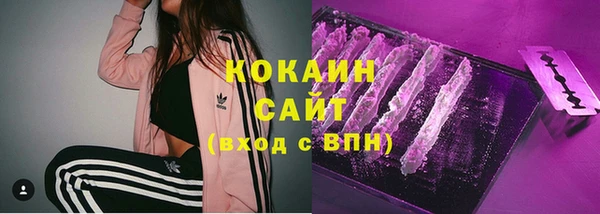 прущие грибы Белокуриха