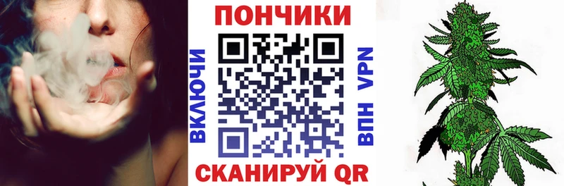 дарк нет какой сайт Красный Холм Шишки марихуана сатива